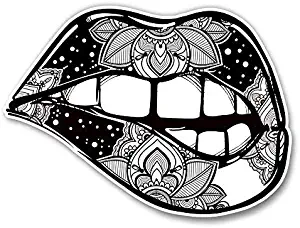 Magnet Sexy Womens Lips Magnetic vinyl bumper sticker sticks to any metal fridge, car, signs 5"