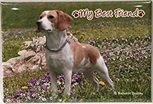 Beagle Dog Souvenir Magnet 2"x 3"