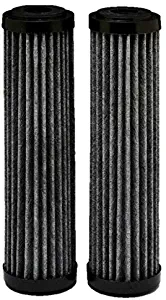 EcoPure EPW2F Premium Fact Universal Whole Home Filter (2 Pack), Dark Gray/Black