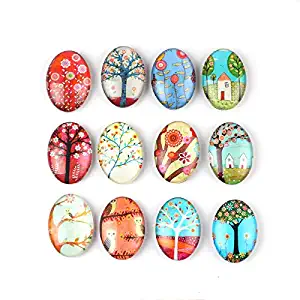 Spring Winter Summer Autumn Tree Refrigerator Magnet Party Set of 12 Pack 3D Oval Face Silver Fridge Office Dry Erase Board Stainless Steel Door Freezer Whiteboard Cabinet Magnetic Great Fun for Girl