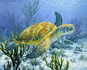 Ancient Mariner Sea Turtle Panel 36 X 44 Inches Cotton Fabric