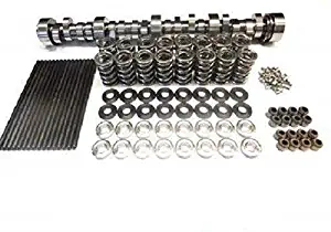 Brian Tooley BTR Stage 2 Naturally Aspirated Cam and Spring Kit LS1 LS6 LS2 5.7 6.0