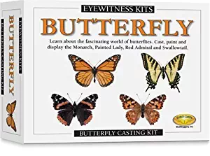 Skullduggery Eyewitness Kits Perfect Cast Butterfly Cast, Paint, Display and Learn Craft Kit
