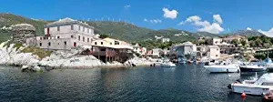 Port with town at the waterfront Centuri Haute-Corse Corsica France Poster Print (36 x 12)