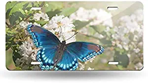 BlingShine Red Spotted Purple Admiral Butterfly Feeding On Wh Print Bracket License Plate Frame Funny Vanity Tag Decorative Front Licese Plate Humor for Women for Men