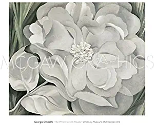 The White Calico Flower, 1931 by Georgia O'Keeffe 25"x30" Art Print Poster