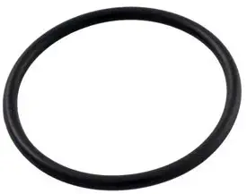 Pentair R172319 Bottom O-Ring Replacement Pool and Spa In-Line Automatic Feeder