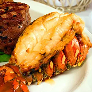 (8) 14-16oz Giant Gourmet Cold Water Lobster Tails by Smart Food Plan