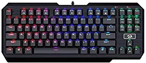 Redragon K553 Mechanical Gaming Keyboard, USAS, 87 Keys, Tenkeyless, Compact Steel Construction with Arrow Keys & Cherry MX Blue Switches for Windows PC Gamer (RGB LED Backlit)