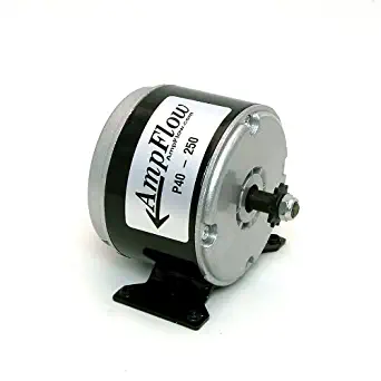 AmpFlow P40-250 Brushed Electric Motor, 250W, 12V, 24V or 36 VDC, 3400 RPM