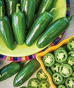 100pcs Rare Pepper, Hot Jalapeno, Ring Leader Hybrid Highyielding Heirloom Seeds, Organic Vegetable Seeds Exotic Hardy Perennial Garden