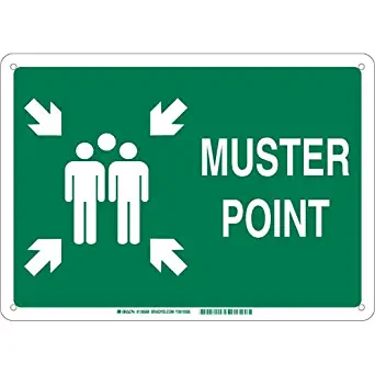 Brady 139574 Aluminum"Muster Point" Sign, Text and Symbol, 10" H x 14" W, White on Green