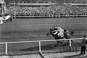 Gatsbe Exchange 8 x 10 Photo Seabiscuit Ron Pollard Win Race War Admiral