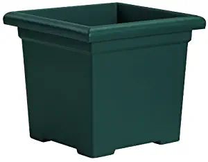 Akro-Mils ROS15500B91 Accent Square Planter, Evergreen, 15-1/2-Inch