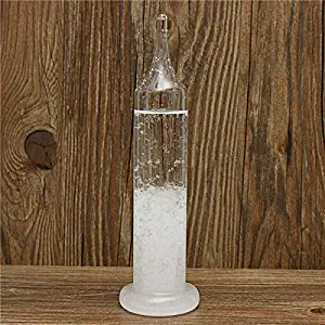 Raitron 20cm Fitzroy Storm Glass Barometer Weather Forecast Meteorology Detect Gift