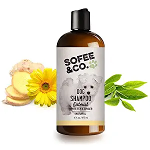 Sofee & Co. Natural Oatmeal Dog Puppy Shampoo - Clean Moisturize Soothe Soften Norma, Dry Itchy Allergy Sensitive Skin. Deodorize and Detangle 16 oz (White Tea & Ginger)