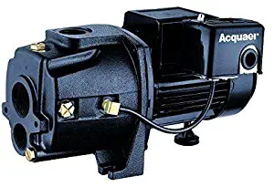 Acquaer 3/4 HP Dual-Voltage Cast Iron Convertible Deep Well Jet Pump With Injector kit