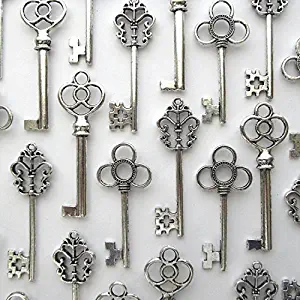 Salome Idea Mixed Set of 30 Large Skeleton Keys in Antique Silver - Set of 30 Keys (Silver Color)